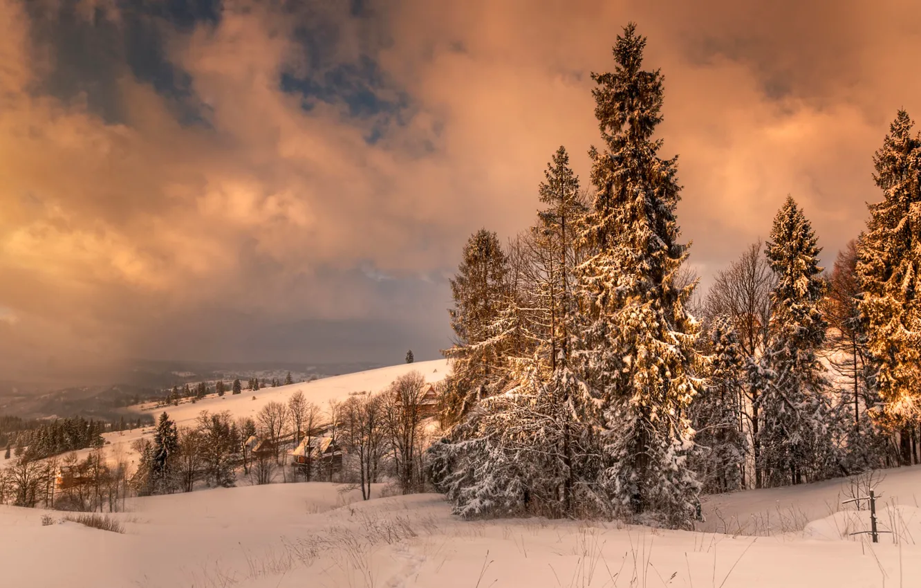 Photo wallpaper winter, snow, Poland, Zakopane