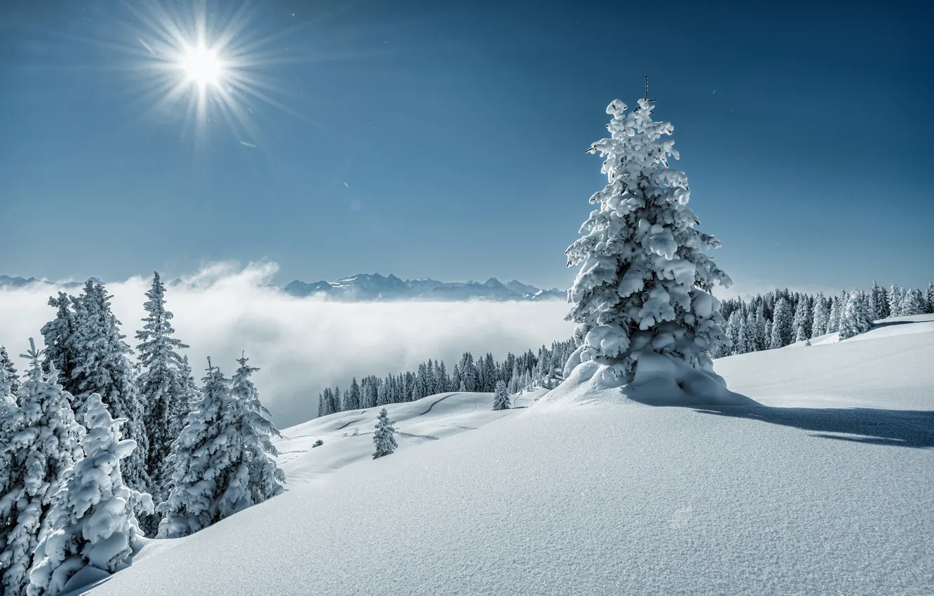 Photo wallpaper winter, frost, forest, the sun, snow, mountains, ate, the snow