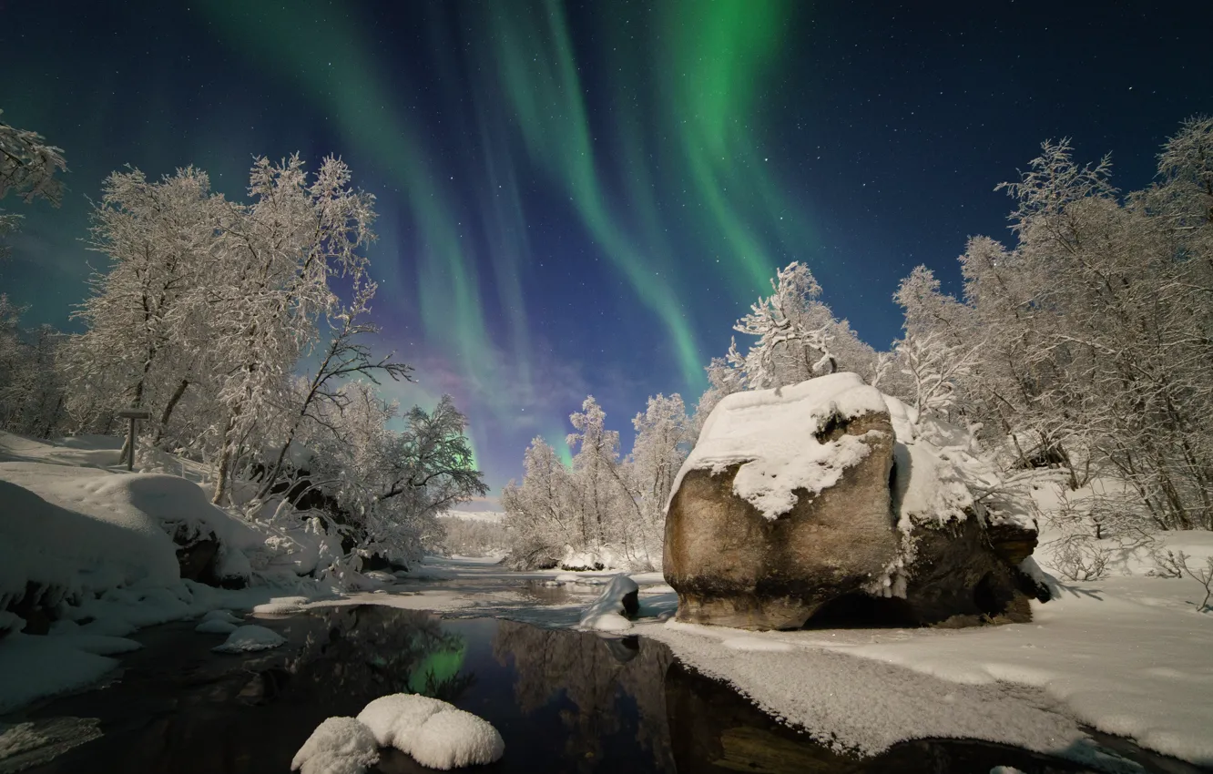 Photo wallpaper winter, forest, snow, Northern lights, river