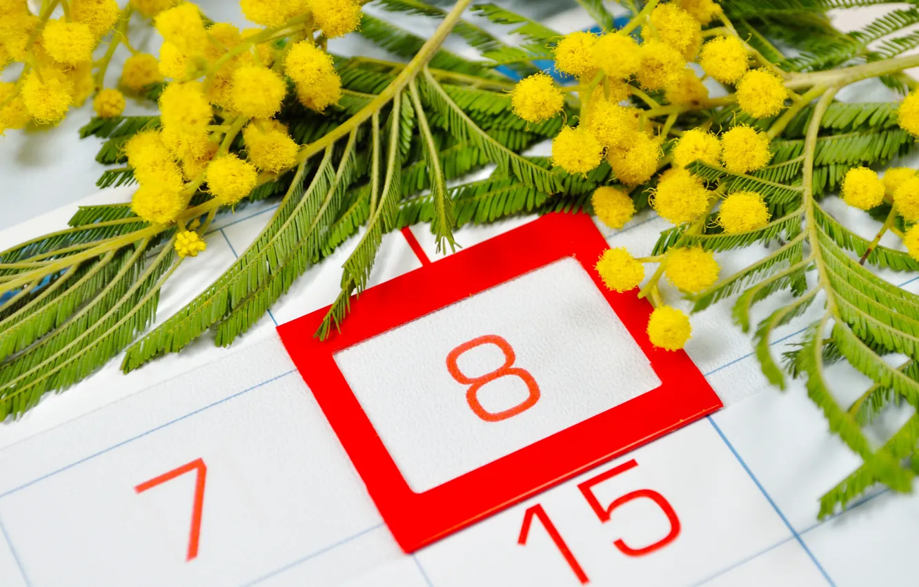 Photo wallpaper yellow, red, calendar, March 8, flowers, number, date, Mimosa