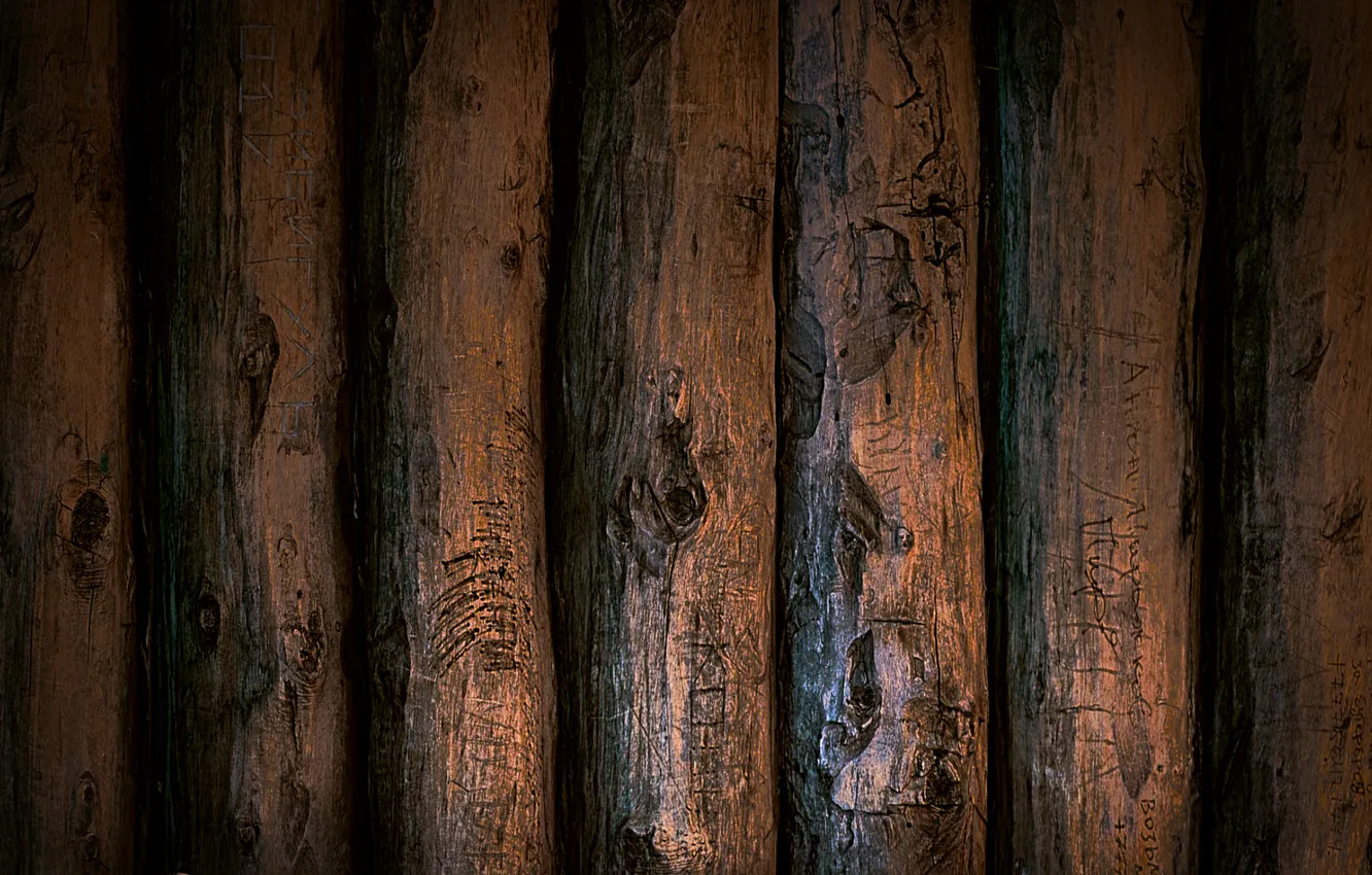 Photo wallpaper log, wood, texture
