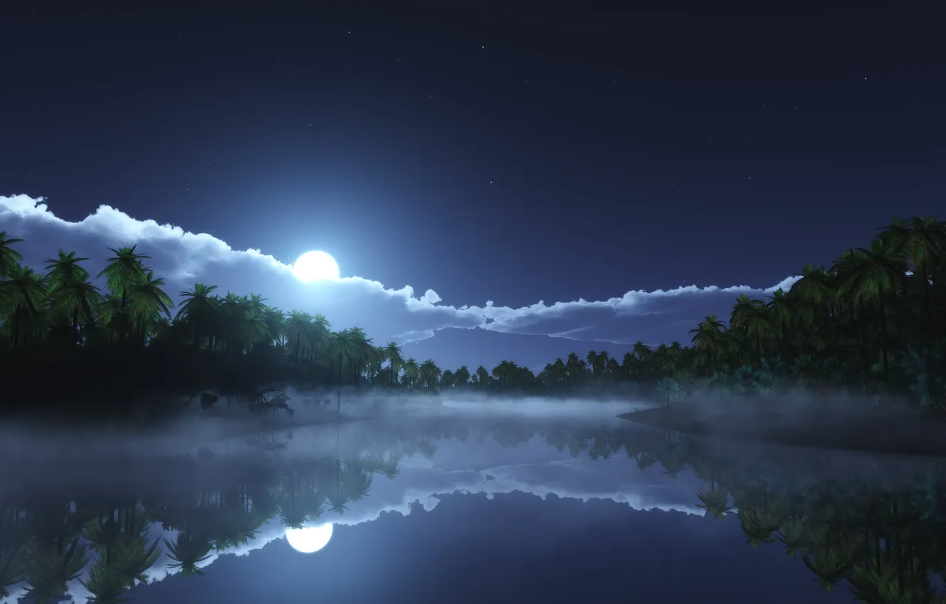 Photo wallpaper Nature, Beauty, Nature, Clouds, Stars, Reflection, Palm trees, Body of Water