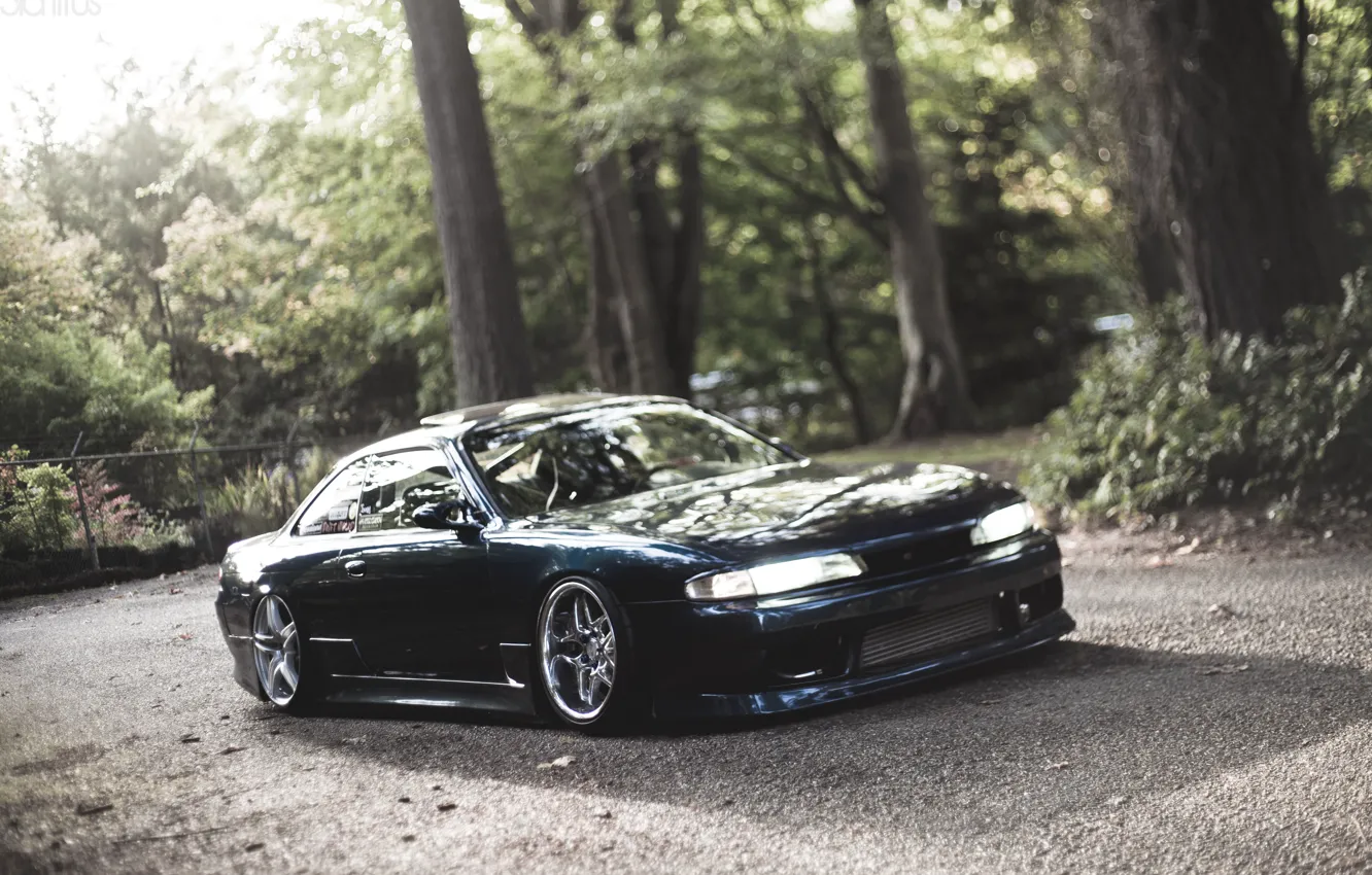 Photo wallpaper forest, trees, Silvia, Nissan, Nissan, Tuning, Sylvia, S14