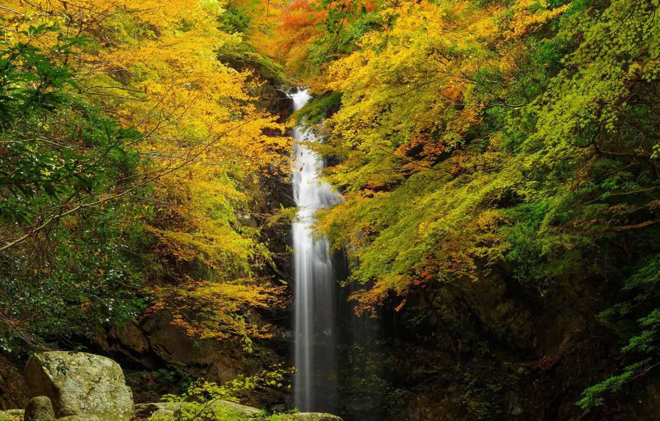 Photo wallpaper autumn, forest, leaves, trees, rock, stones, waterfall, yellow
