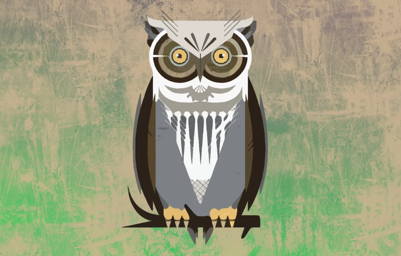 Photo wallpaper owl, bird, Wallpaper, vector, vector, branch, art, Owl
