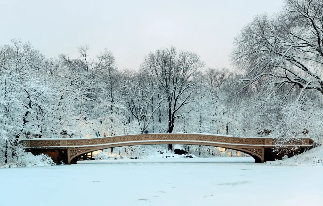 Photo wallpaper winter, snow, trees, bridge, Park, Frozen, landscape, bridge