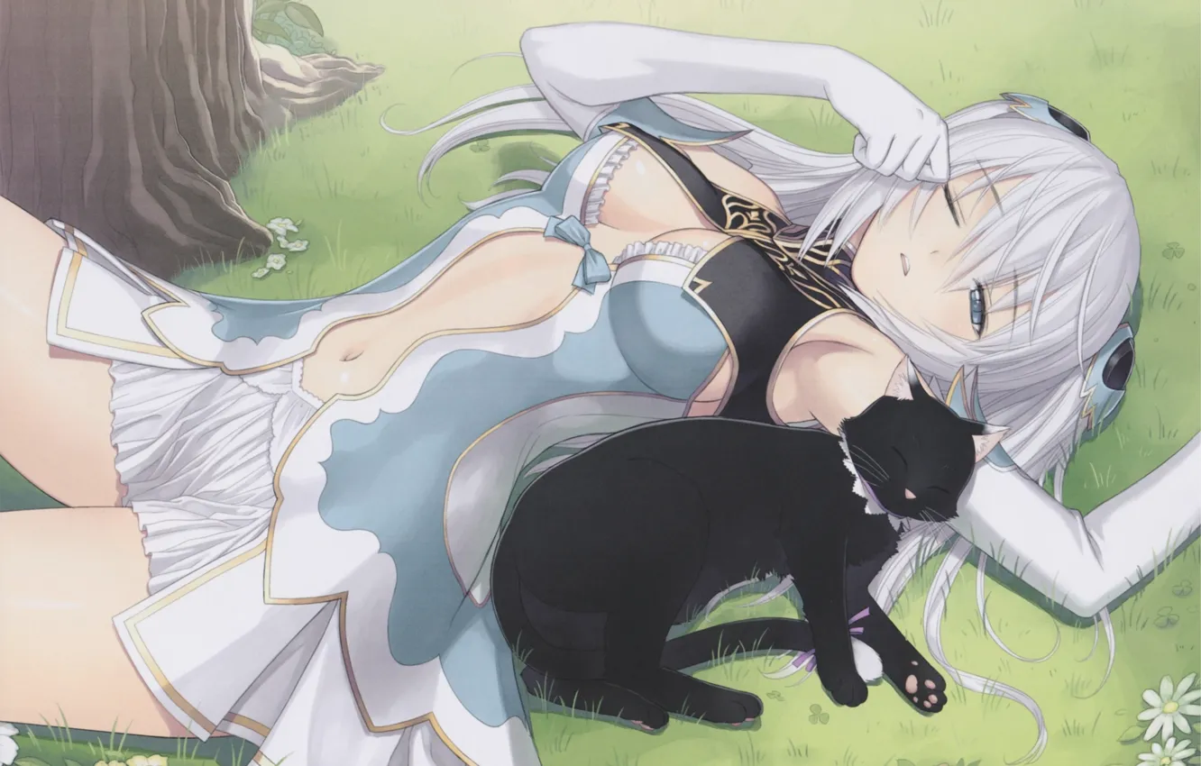 Photo wallpaper grass, blonde, sleeping, corset, game, black cat, lying on her back, gloves elbow
