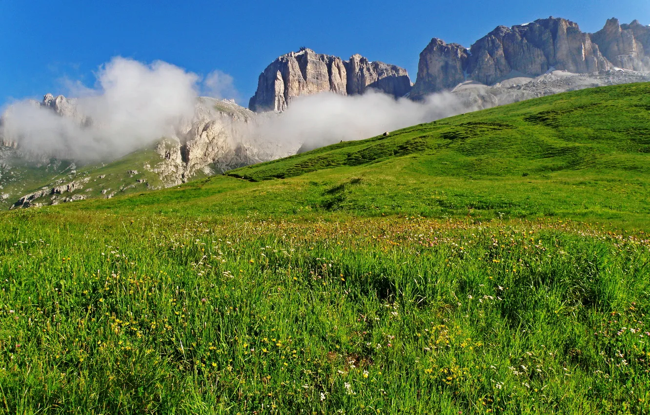Photo wallpaper Alps, meadow, Italy, herbs, mountain range, The Dolomites