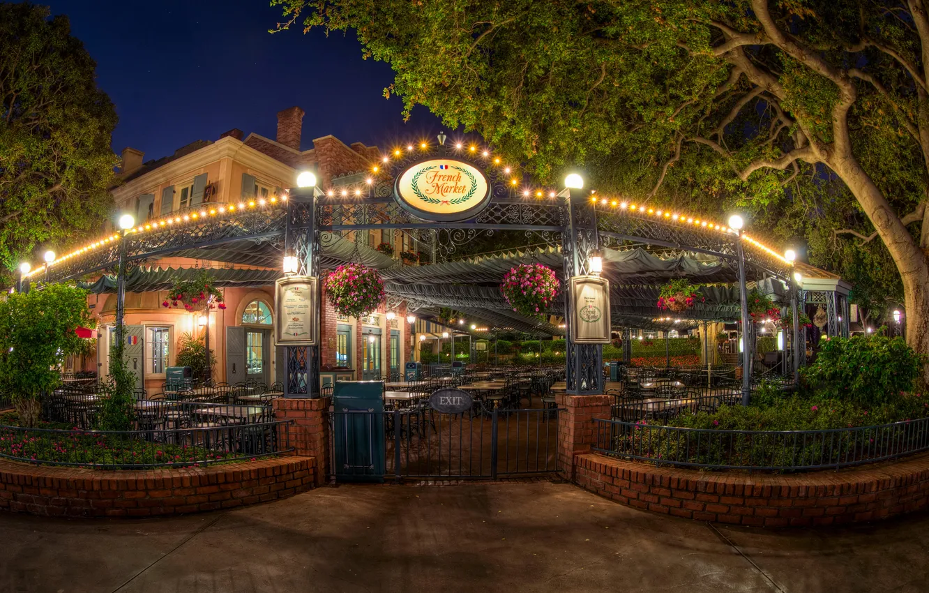 Photo wallpaper flowers, night, lights, tale, CA, cafe, USA, Disneyland