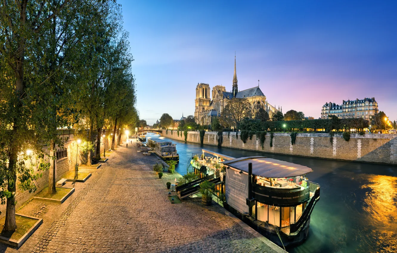 Photo wallpaper trees, bridge, the city, river, France, Paris, boats, the evening