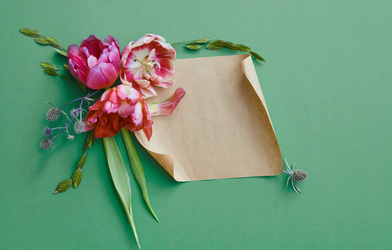 Photo wallpaper flowers, paper, flowers, backgrounds, card