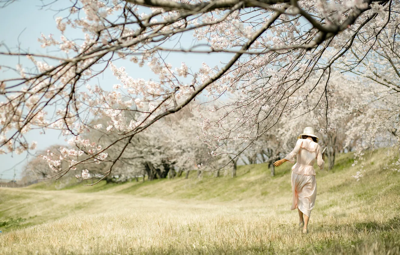 Photo wallpaper girl, nature, spring