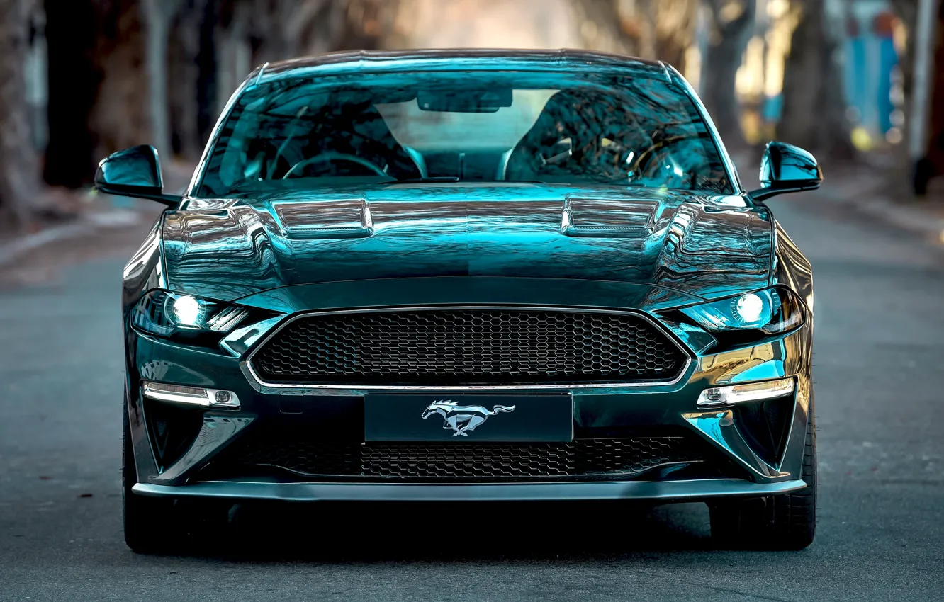 Photo wallpaper Mustang, Ford, front view, Bullitt, 2019