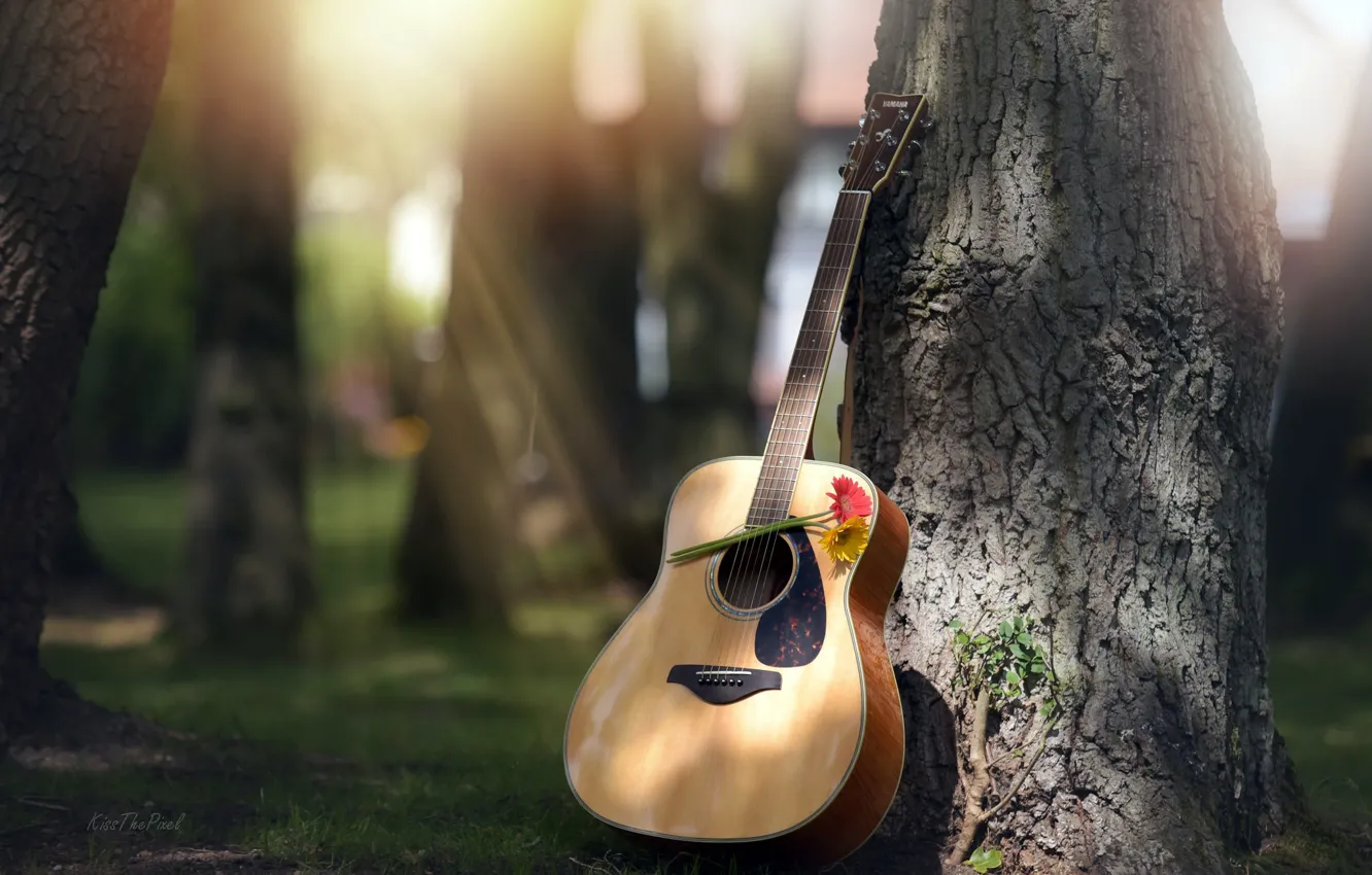 Photo wallpaper trees, flowers, guitar
