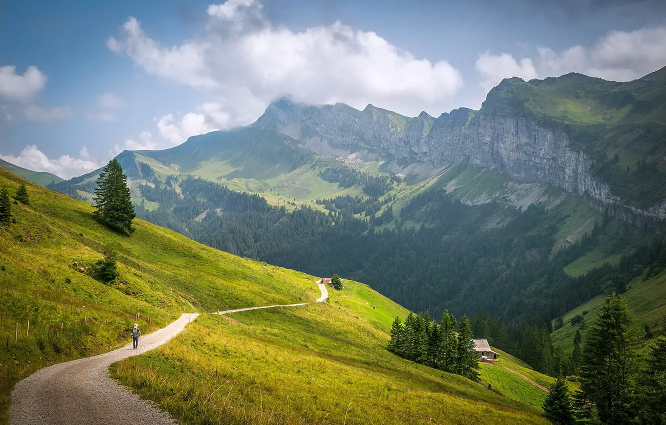 Photo wallpaper road, field, forest, the sky, clouds, mountains, fog, blue
