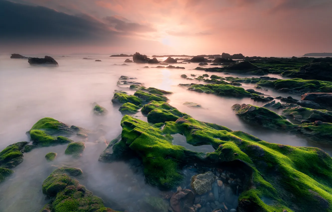 Photo wallpaper sea, the sky, clouds, light, algae, sunset, stones, dawn