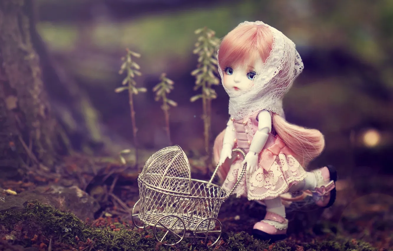 Photo wallpaper toy, doll, stroller