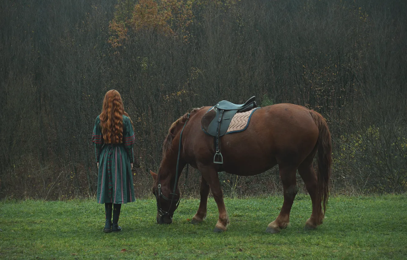 Photo wallpaper forest, girl, horse, redhead