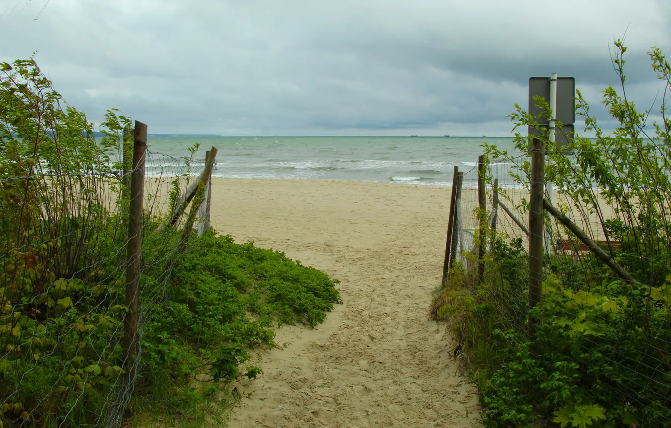 Photo wallpaper beach, sea, water, sand, path
