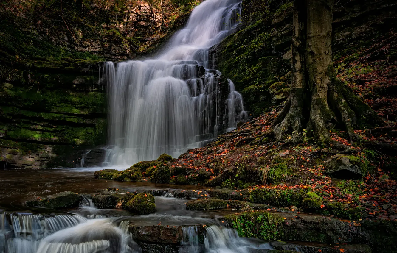Photo wallpaper autumn, forest, nature, stones, rocks, England, waterfall