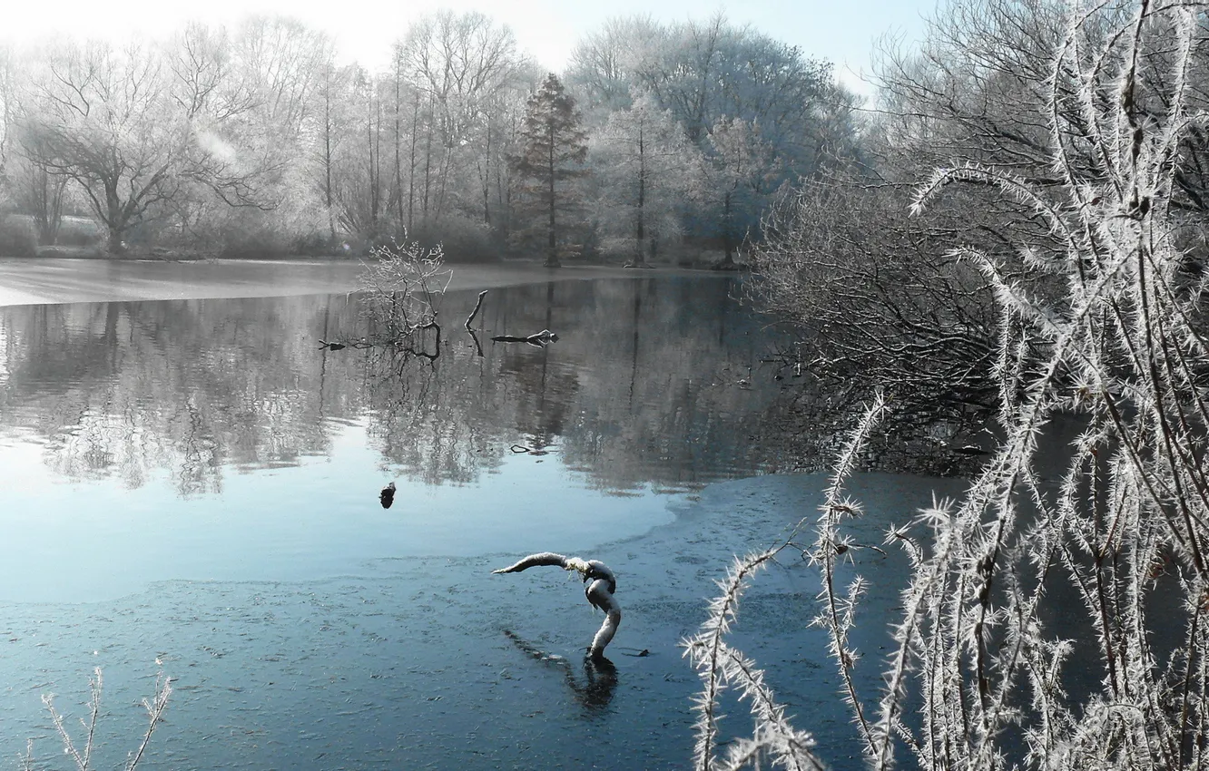 Photo wallpaper winter, frost, snow, lake