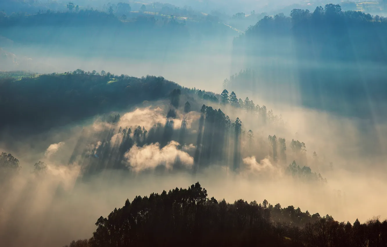 Photo wallpaper rays, light, fog, morning, valley, Britain