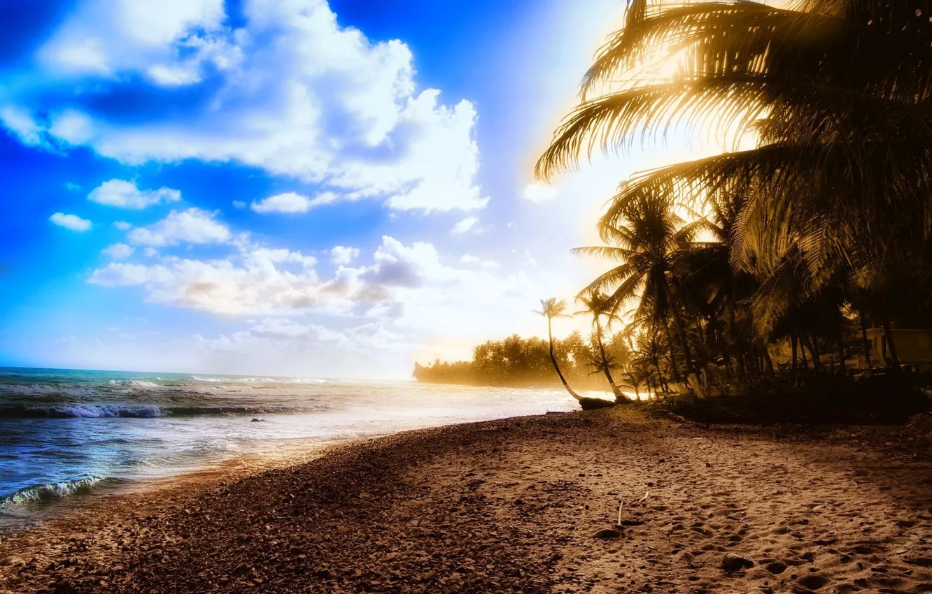 Photo wallpaper sand, sea, wave, beach, summer, water, trees, landscape