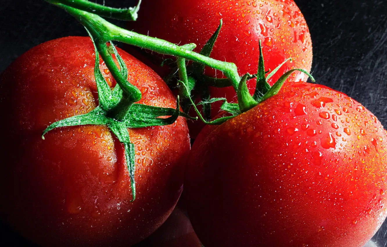 Photo wallpaper food, vegetables, tomatoes, tomatoes