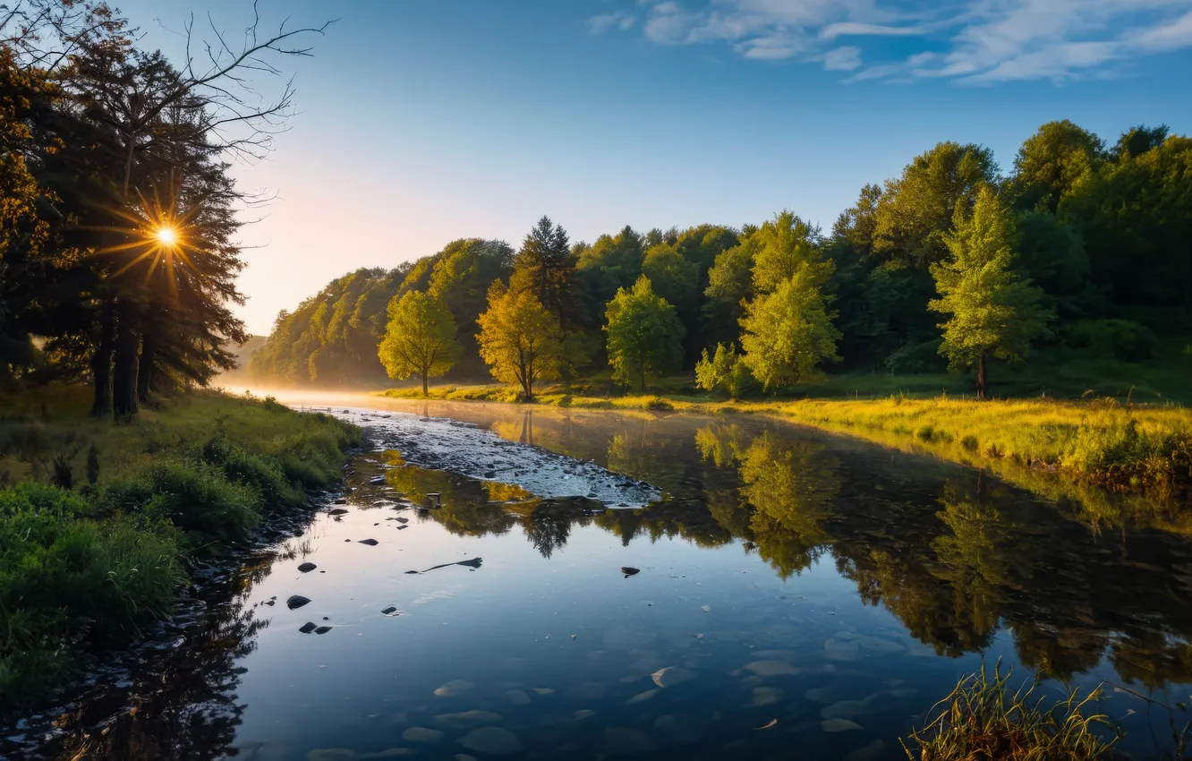 Photo wallpaper summer, trees, nature, river, morning, Germany