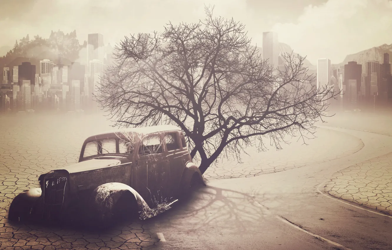 Photo wallpaper road, machine, trees, Apocalypse