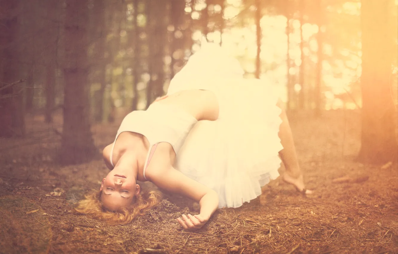 Photo wallpaper forest, girl, trees, sleep, blonde