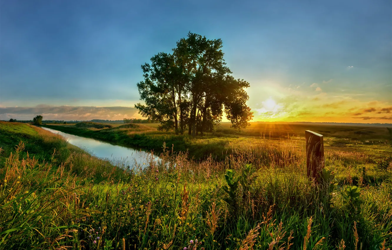 Photo wallpaper field, summer, grass, the sun, trees, sunset, nature, river