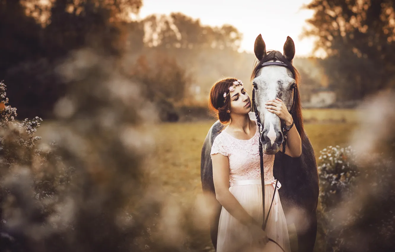 Photo wallpaper field, girl, nature, each, horse, horse, brunette, walk
