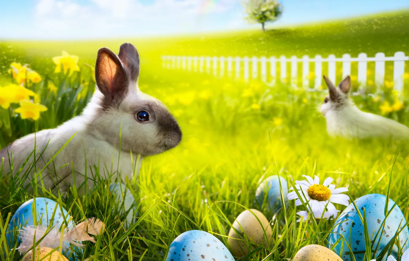 Photo wallpaper grass, flowers, chamomile, eggs, rainbow, spring, rabbit, meadow