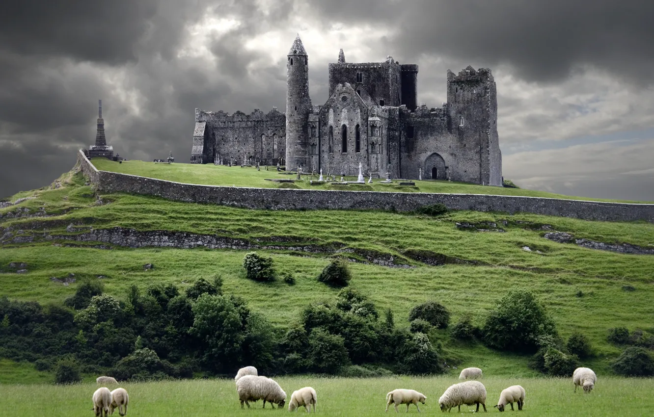 Photo wallpaper clouds, castle, hills, sheep, Ireland, Ireland