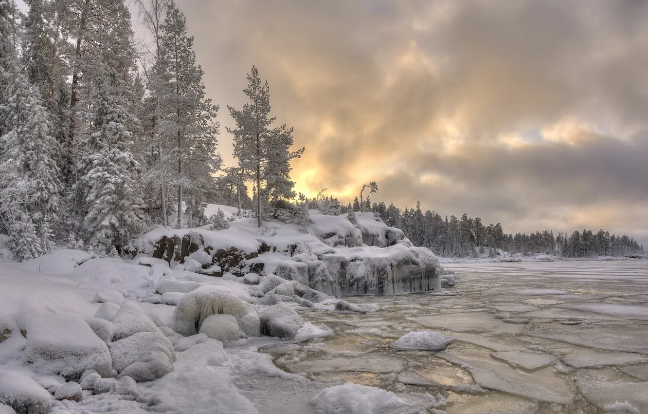 Photo wallpaper ice, winter, forest, snow, landscape, nature, lake, shore