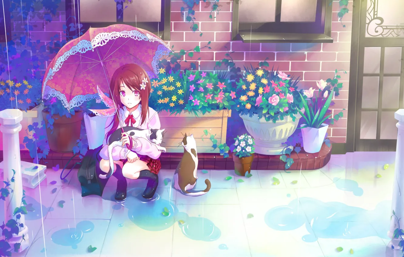 Photo wallpaper cats, house, rain, Windows, plants, umbrella, the door, puddles