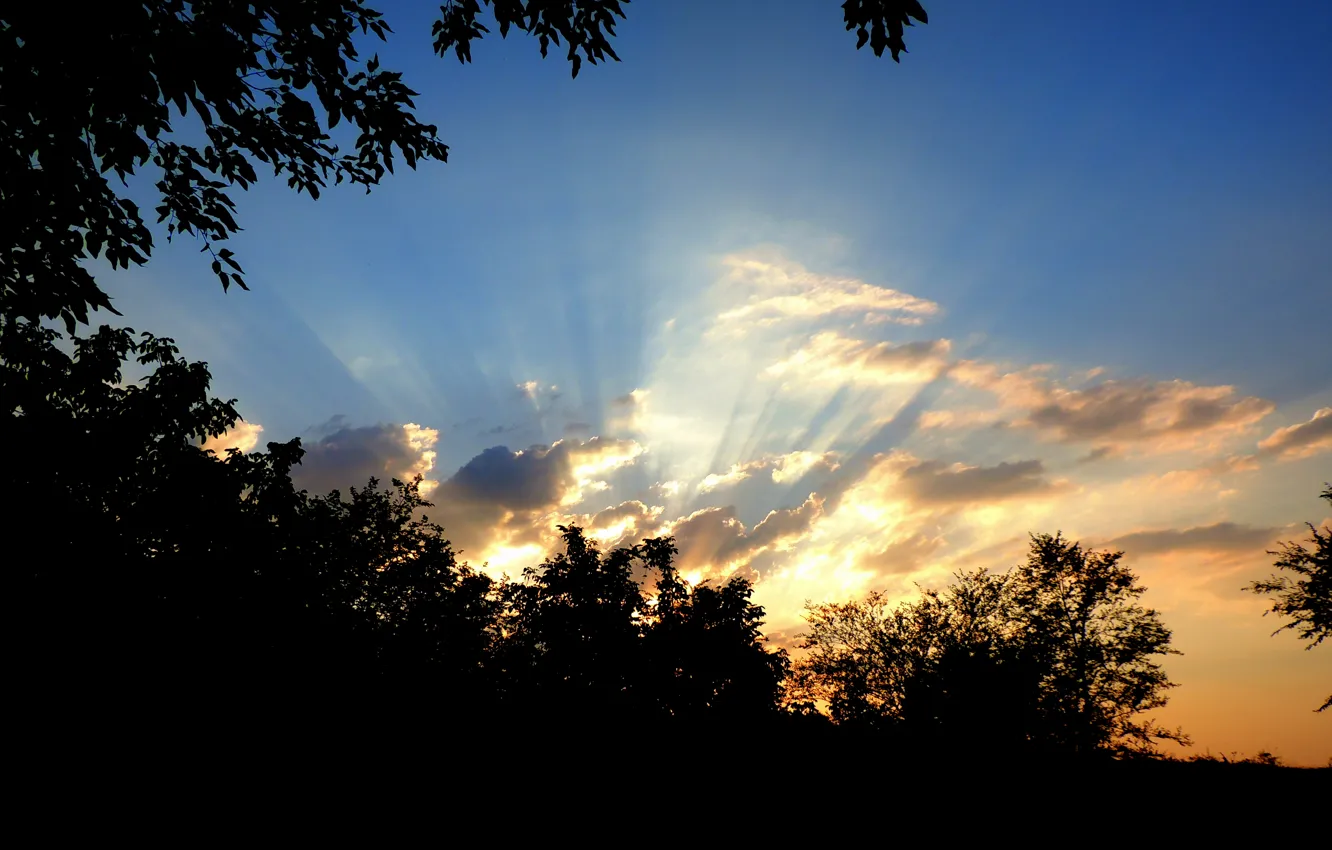 Photo wallpaper summer, the sky, clouds, rays, sunset, blue, nature, photo