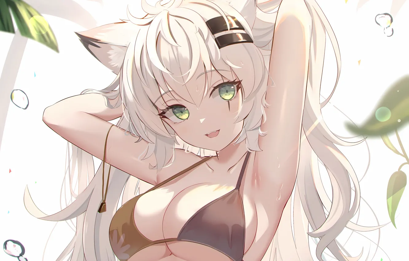 Photo wallpaper girl, sexy, wet, cleavage, green eyes, long hair, boobs, animal ears