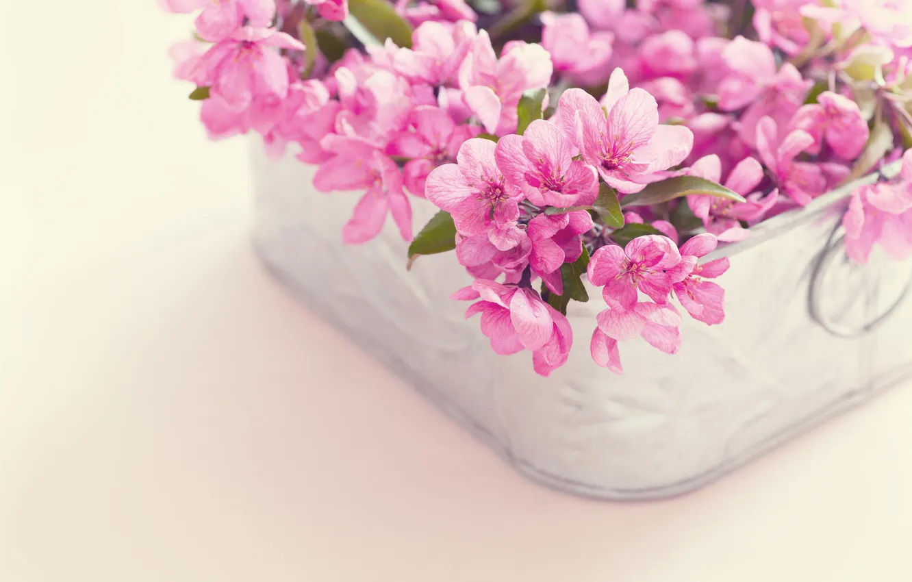 Photo wallpaper flowers, basket, bouquet, pink