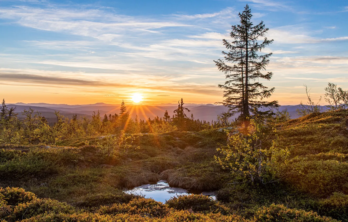 Photo wallpaper autumn, forest, the sky, the sun, clouds, rays, sunset, mountains