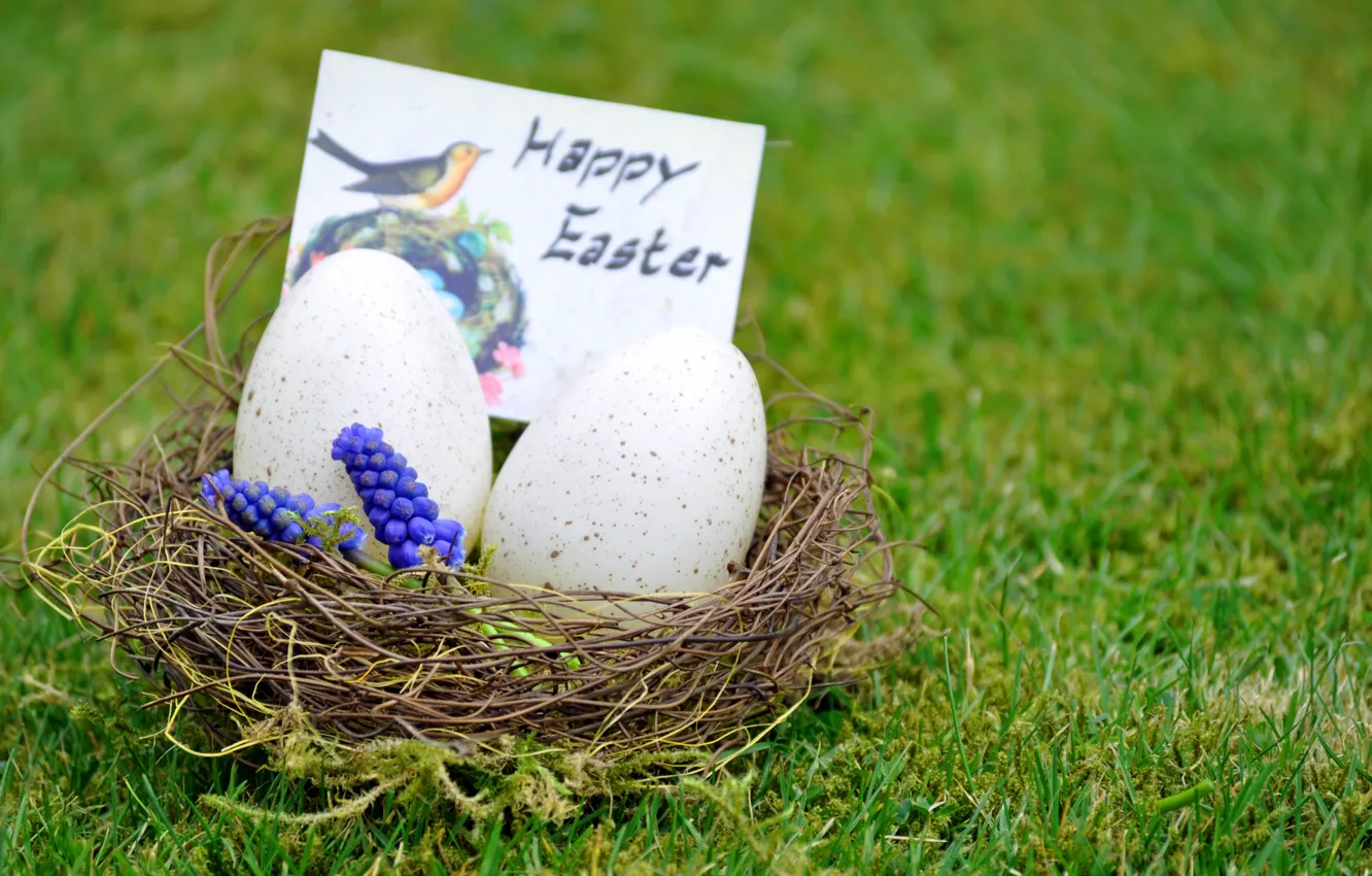 Photo wallpaper grass, flowers, eggs, Easter, socket, Easter