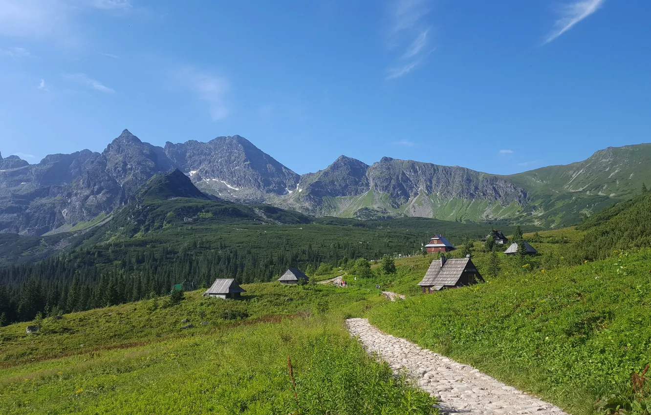Photo wallpaper greens, forest, summer, grass, mountains, blue, stones, rocks