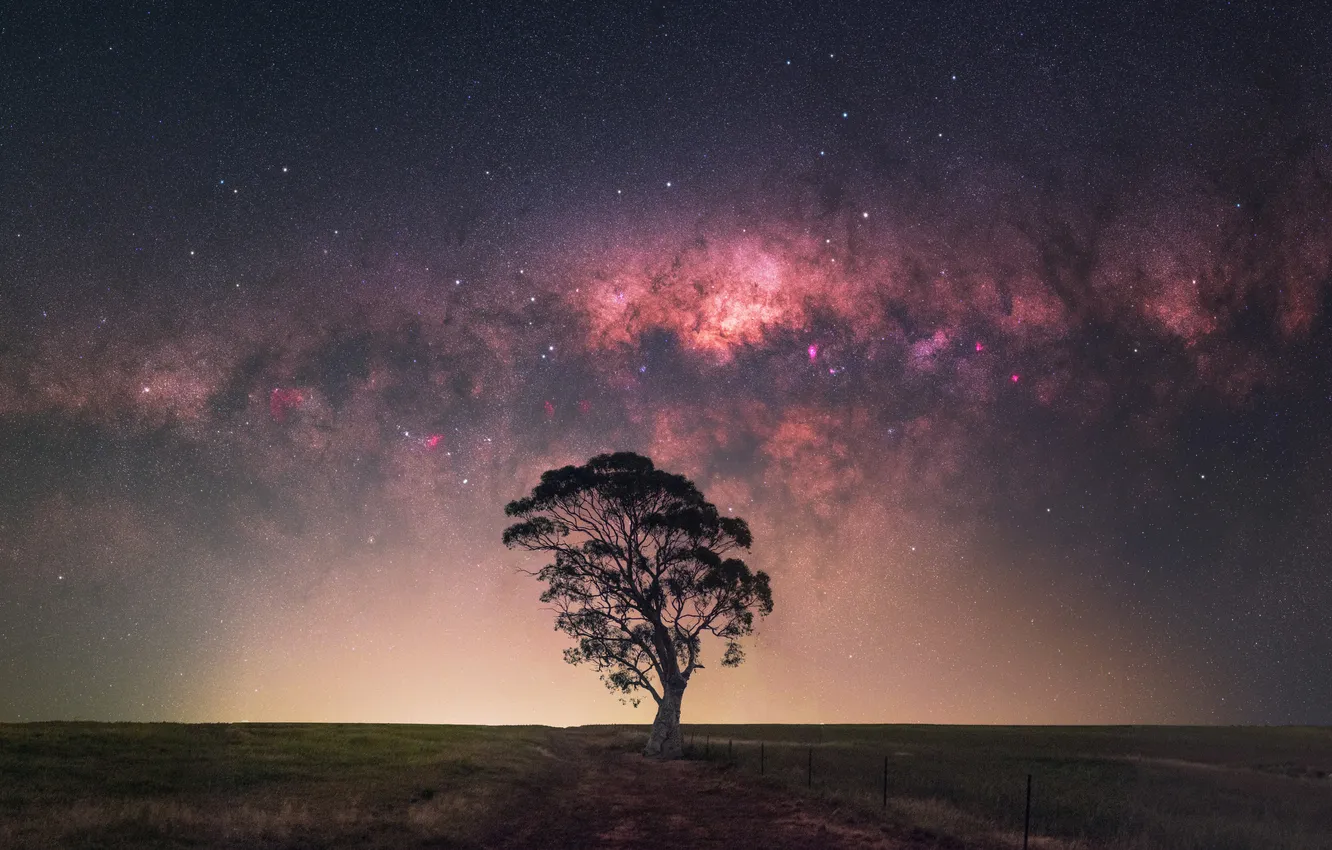 Photo wallpaper field, the sky, space, stars, light, trees, night, the milky way