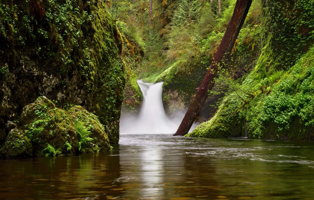 Photo wallpaper river, rocks, waterfall, moss, Oregon, log, Oregon, Columbia River Gorge