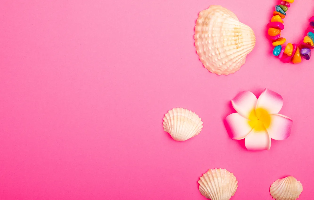 Photo wallpaper flower, background, pink, color, texture, bracelet, shell, stones