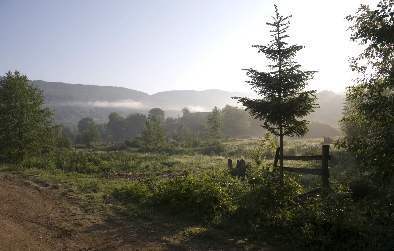 Photo wallpaper trees, landscape, mountains, nature, fog, morning