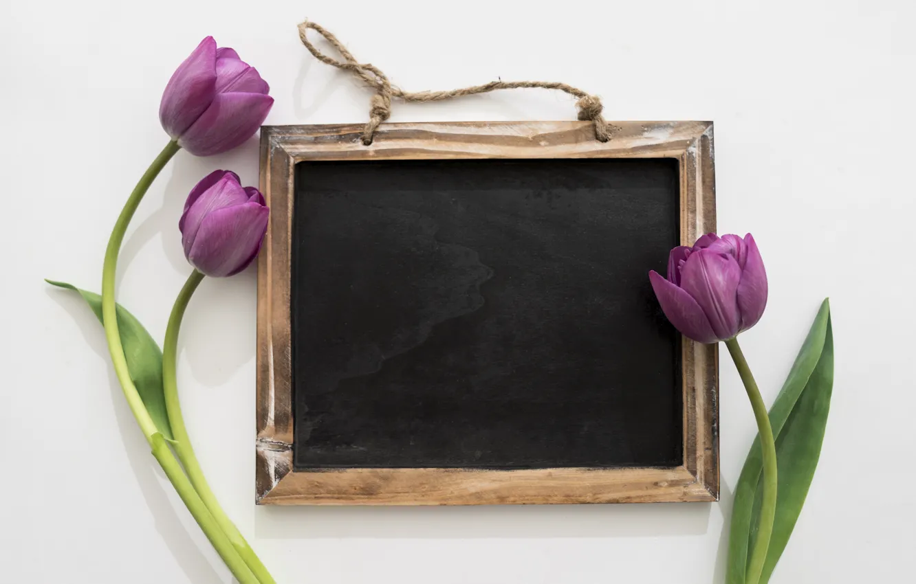 Photo wallpaper flowers, Board, bouquet, spring, frame, tulips, fresh, flowers