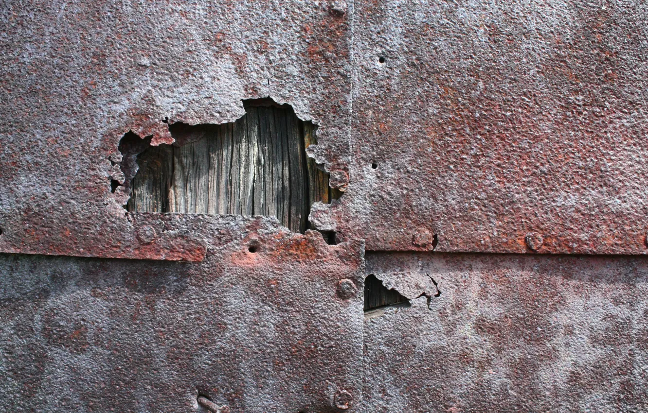 Photo wallpaper tree, rust, riveting, ;iron