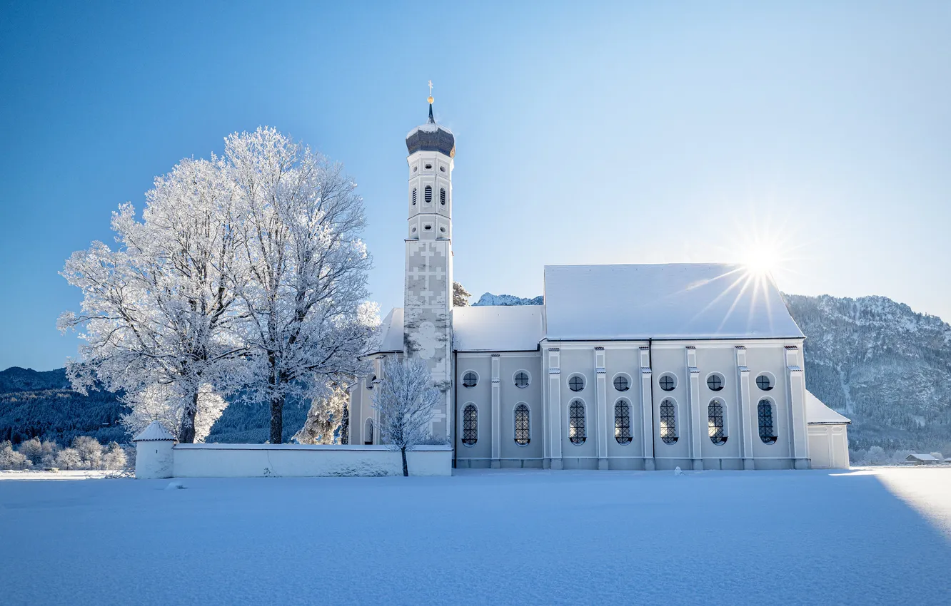 Photo wallpaper winter, frost, field, the sun, rays, light, snow, trees